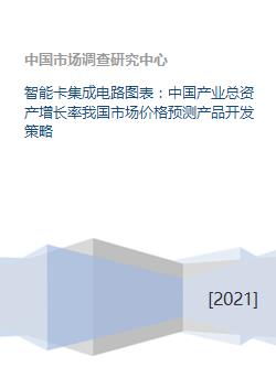 智能卡集成電路產(chǎn)業(yè)發(fā)展趨勢(shì)與策略前瞻 基于中國市場(chǎng)的資產(chǎn)增長與價(jià)格預(yù)測(cè)分析